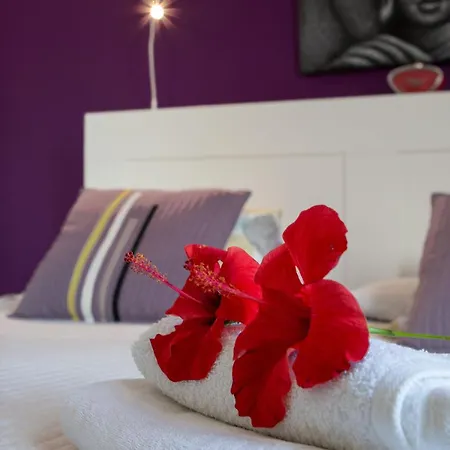 The Colors House, 513 And Cosy Apartment Costa Teguise